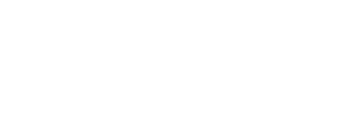 MEMI